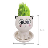 Ceramic Flowerpot Mini Cat Shaped Cartoon Cute Potted Plant Desktop Potted Expression Cat Plant Pot Desk Decorate Small Ornament