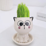 Ceramic Flowerpot Mini Cat Shaped Cartoon Cute Potted Plant Desktop Potted Expression Cat Plant Pot Desk Decorate Small Ornament