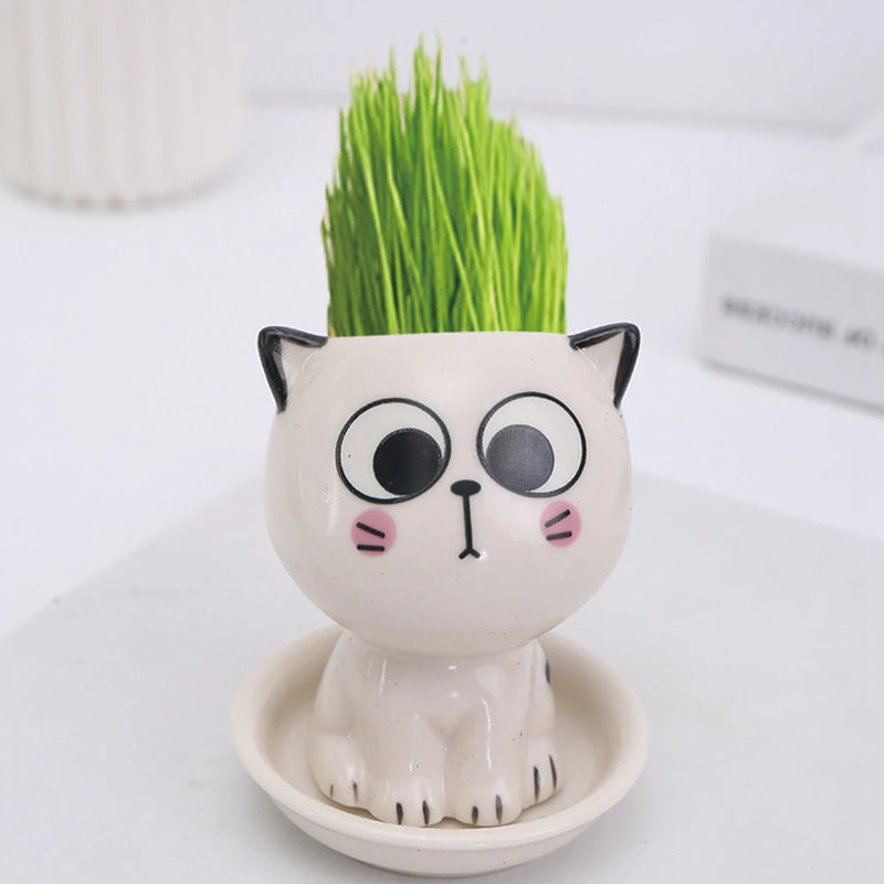 Ceramic Flowerpot Mini Cat Shaped Cartoon Cute Potted Plant Desktop Potted Expression Cat Plant Pot Desk Decorate Small Ornament
