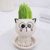 Ceramic Flowerpot Mini Cat Shaped Cartoon Cute Potted Plant Desktop Potted Expression Cat Plant Pot Desk Decorate Small Ornament