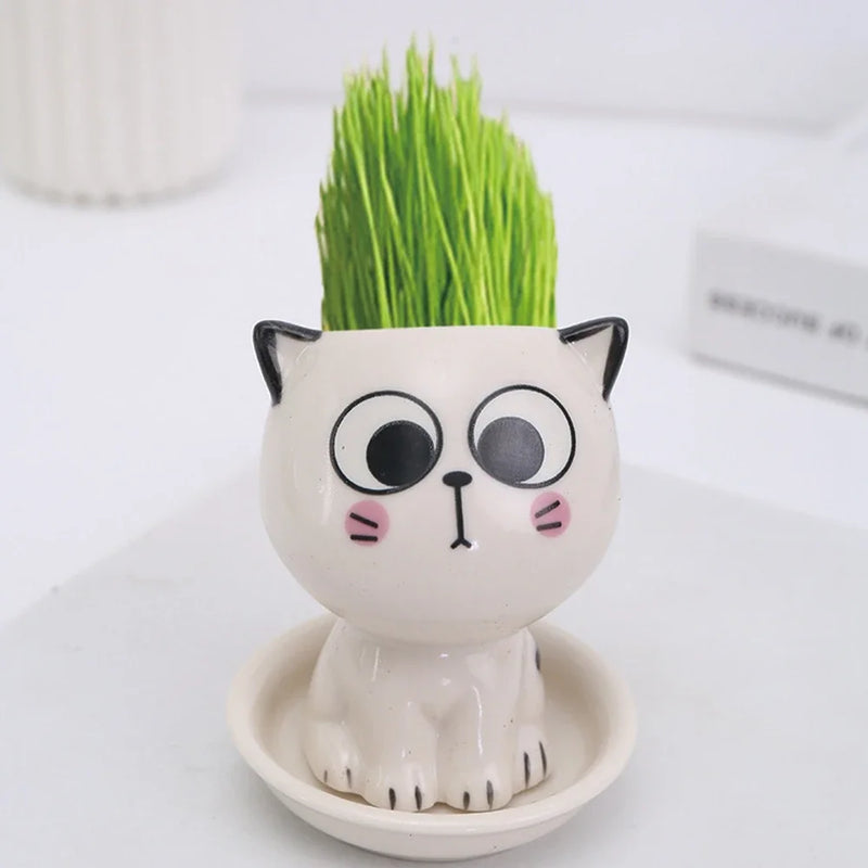 Ceramic Flowerpot Mini Cat Shaped Cartoon Cute Potted Plant Desktop Potted Expression Cat Plant Pot Desk Decorate Small Ornament