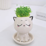 Ceramic Flowerpot Mini Cat Shaped Cartoon Cute Potted Plant Desktop Potted Expression Cat Plant Pot Desk Decorate Small Ornament